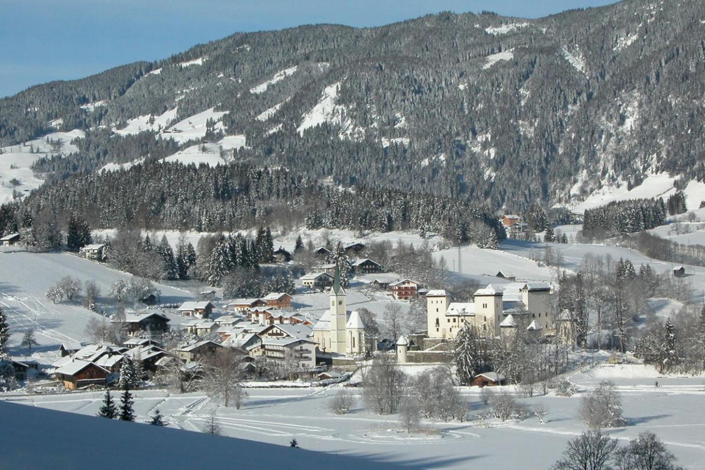 Bio-Bauernhof Reitmayrgut Goldegg Kültér fotó